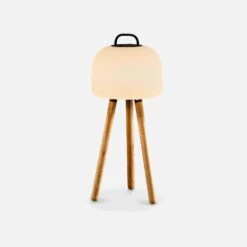 Lampe D'intérieur LED 3 En 1 Avec Trépied -Jardin Et Extérieur LED313IN1WD 04