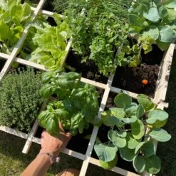 Carré Potager En Bois 90 X 90cm -Jardin Et Extérieur VG90 05